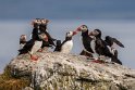 28 IJsland, Vigur eiland